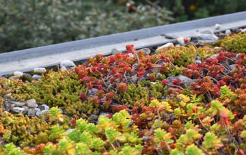the cost of Jack In The Green green roof installation